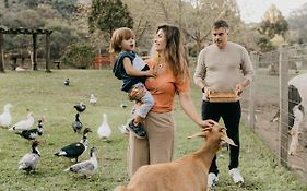 Chalés Família Fioreze Casa De Férias